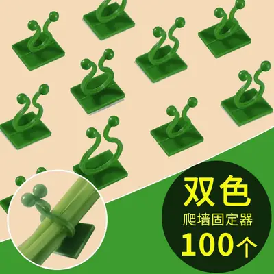 Plant Climbing Tool for Green Plants, Wall Climbing Fixer, Green Plant Climbing Clip, Wall Hook, Sticky Climbing Vine Rod
