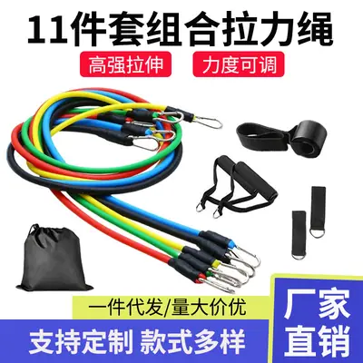 11-Piece Resistance Band Fitness Set with Carabiner, Exercise Resistance Bands, Body Shaping Belt, Resistance Rope