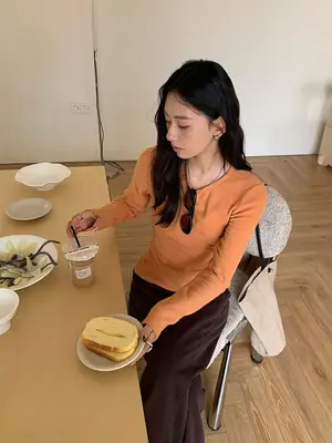 Huang Zheng Basic Embroidered Brushed T-Shirt for Women, Winter Korean Style, Elastic Slim Fit, Slimming Inner Layer Base Shirt 530867