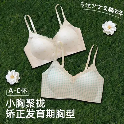 Girls' Bras for the Developmental Period, High School and College Students' Seamless Underwear, Small Chest Gathering, Comfortable, Wire-Free, Anti-Sagging Bra