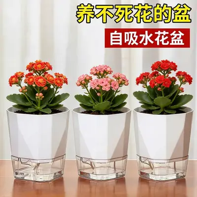 New Self-Watering Flower Pot, Self-Absorbing Water, Trendy Plastic Gallon Pot for Lazy Gardeners, Suitable for Green Plants, Roses, Orchids, and Succulents on the Balcony