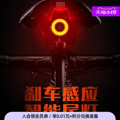 Rock Brothers Bicycle Tail Light Intelligent Sensor Brake Light Cycling Equipment