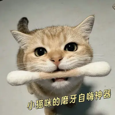 Cat Toys 100% Pure Wool Large Cotton Swab Cat Teaser Stick Teeth Cleaning Self-Entertainment Boredom-Relief Catnip Sniffing Toy