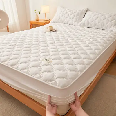 Class a Raw Cotton Double-Layer Quilted Xinjiang Cotton Fitted Sheet Mattress Protector Single Piece Bed Cover Wholesale Cross-Border