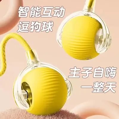 Cross-Border Pet Toy Ball, Cat Ball, Dog and Cat Self-Entertainment Gadget, Pet Toy, Pet Supplies, Cat Toy