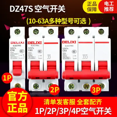 Delixi DZ47S Air Switch 63A Main Breaker 2P3P4P Electrician