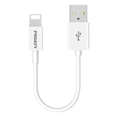 Pinsheng Lightning Cable 3m 2.4A Fast Charging