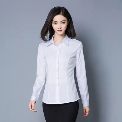 Women Long Sleeve Light Blue Business Shirt Large