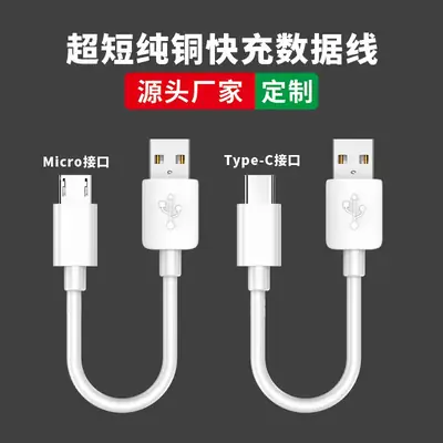 USB Type-C Charging Cable 25cm Waterproof