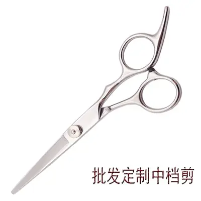 Stainless Steel Hair Scissors for Home Use