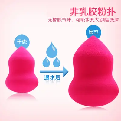 Colorful Makeup Sponge Puff for Foundation & BB