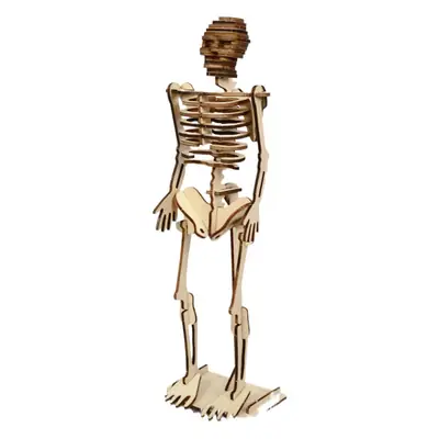 Children's 3D Wooden Skeleton Science Toy