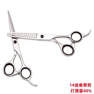 6-Inch Stainless Steel Hair Scissors for Shredding & Tinning