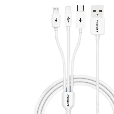 Pinsheng 3-in-1 USB Type-C Cable 12