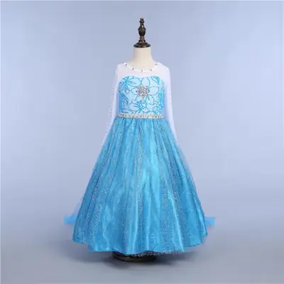 Frozen Princess Dress for Girls Blue Embroidered Skirted Gown