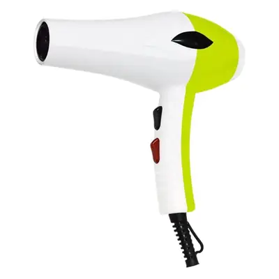 Jinbo Wang 2000W Hair Dryer for Home & Salon