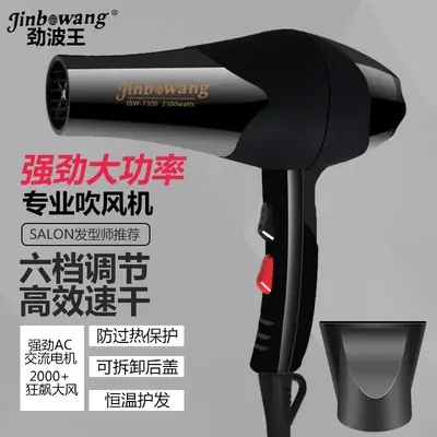 Jinbo Wang Hair Dryer Cold Hot Wind 3000ml
