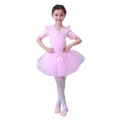 Pink Ballet Dress for Girls Baby Dress Puffy Veil