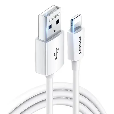 Pinsheng USB-C to 1.5m Cable 17Promax Fast Charging