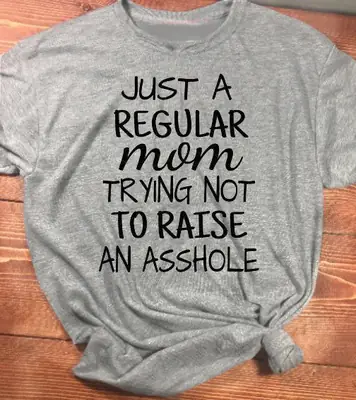 Just a Regular Mom Trying Not to Raise an Asshole Grey T-Shirt