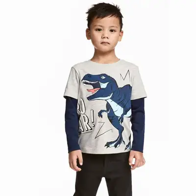 Dinosaur Long Sleeve T-Shirt for Boys Autumn Cotton