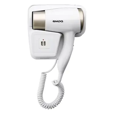 High-Speed Hair Dryer with Blue Light & Negative Ion Technology