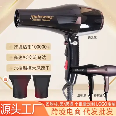 High Power Hair Dryer with Negative Ion Technology Black