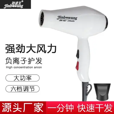 Jinbowang 6627 Hair Dryer Strong Cold Air 6 Digits