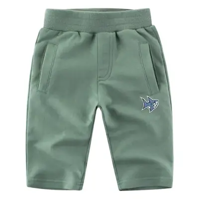 Boys Grey Korean Style Cropped Shorts 2024