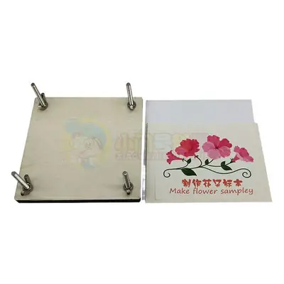 Kids Science Flower Stems Table Model STEM Learning Tool