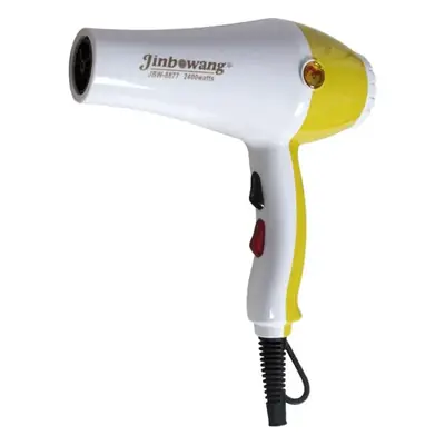Jinbowang 8877 Hair Dryer with Negative Ion & High Power