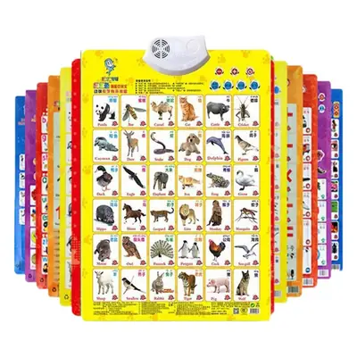 Pinyin Audio Wall Chart for Kids Early Learning