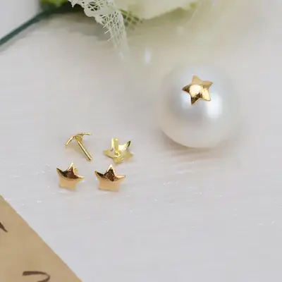 Five Pointed Star Gold Plated Plug Pin