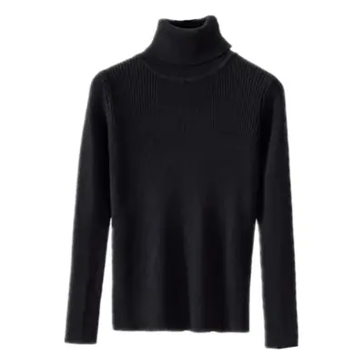 Women's Winter Turtleneck Sweater Purple Solid Color