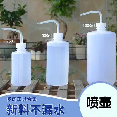 Long Spout Watering Can for Succulents, Household Watering Pot with Curved Spout for Squeezing and Filling Water, Tool for Watering Succulents
