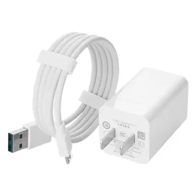 Fast Charging Mini Charger for Mobile Phones 5V4A