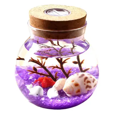 Glass Decorative Bottle with Wooden Cap & Remote Control