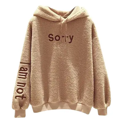 Lamb Wool Hoodie Women Autumn 2018 Loose Furry