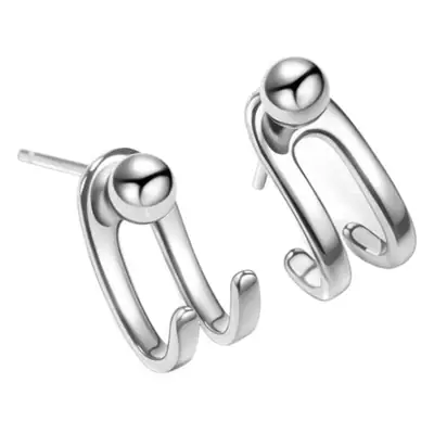 S925 Silver Hook Earrings for Women