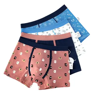 2-4 Boys Cotton Boxer Briefs Cartoon Antibacterial