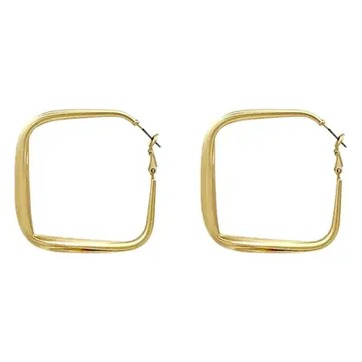 S925 Silver Needle Matte Gold Square Stud Earrings for Women