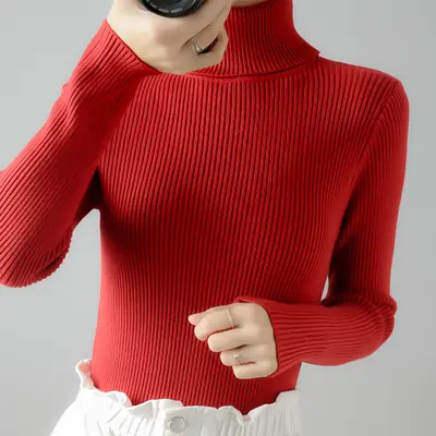 Women's Thick Knit Turtleneck Sweater Brown Slim Fit