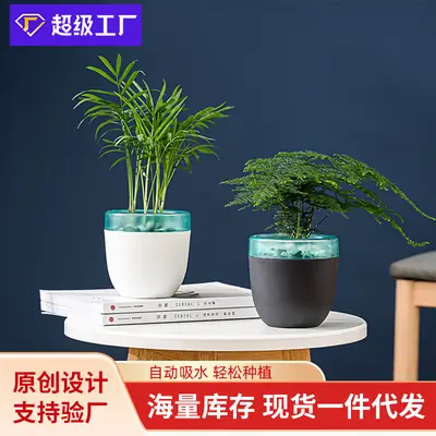 Automatic Water-Absorbing and Water-Storing Flower Pot, Plastic Material, Self-Watering for Succulent Plants, Nordic Style Desktop Model