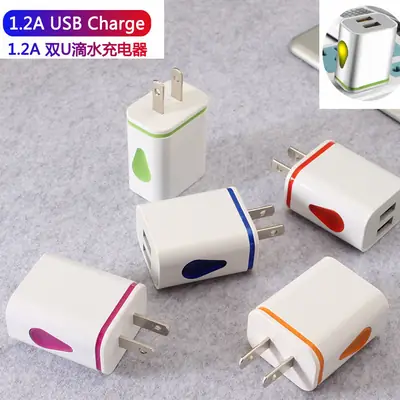 Dual USB Phone Charger with LED Light & European Plug