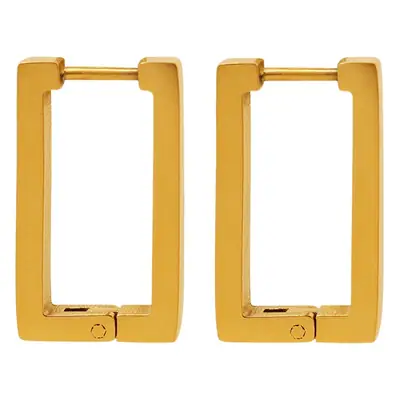 Titanium Geometric Earrings Gold Plated All Match