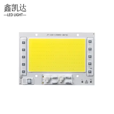 5054 Black King Kong 100W COB Flood Light Special Drive-Free Outdoor