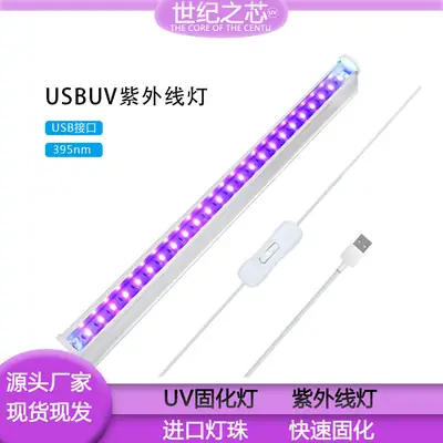 USB UV LED Lamp 395nm for Money Detector & Fluorescent Effect