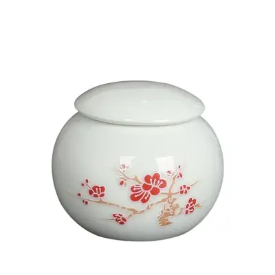 Mini Ceramic Fragrance Jar Set of 5