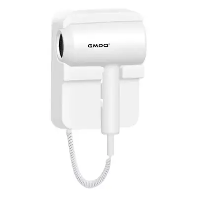 Gmoo Wall-Mounted Hair Dryer 110V Constant Temp