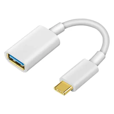 Two-In-One TypeC to USB 3.0 Adapter Silver